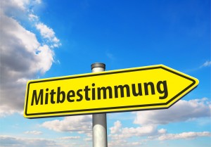 Wegweiser Mitbestimmung